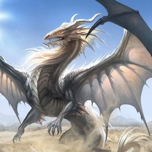 Meet your Posher, Darcel